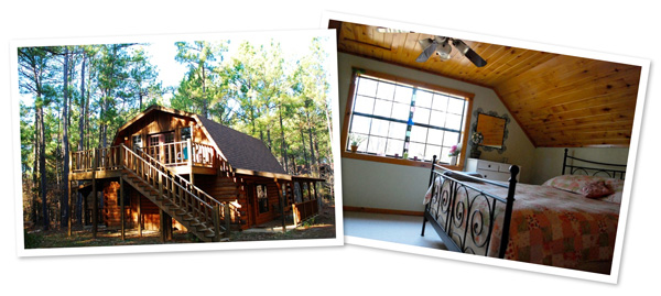 Retreat in the Pines
