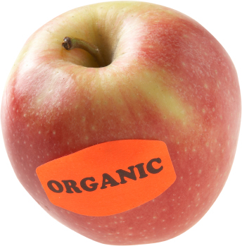 purchasing organic foods online india