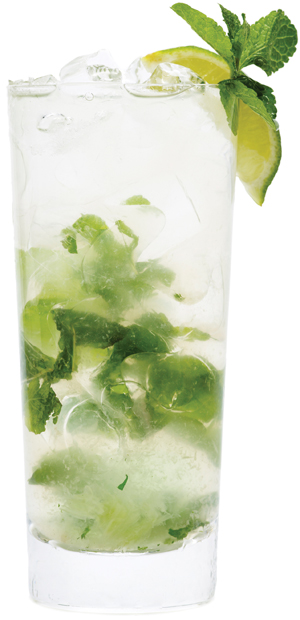 Skinnygirl mojito