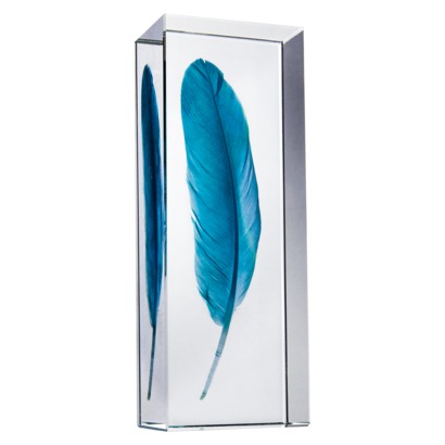 glass feather figure
