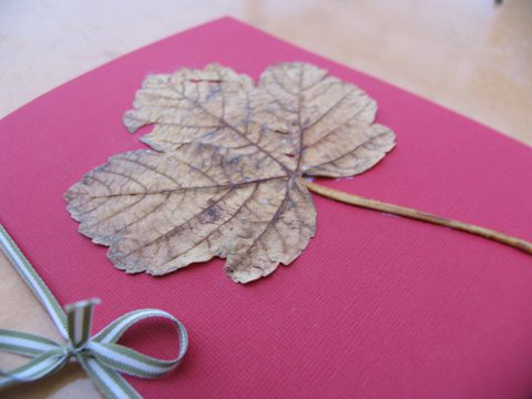 Leaf collection booklet