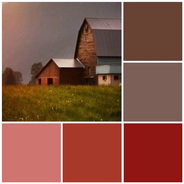 Barnyard bliss color scheme