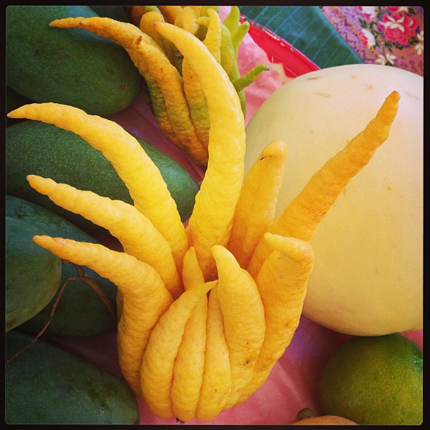 buddha's hand