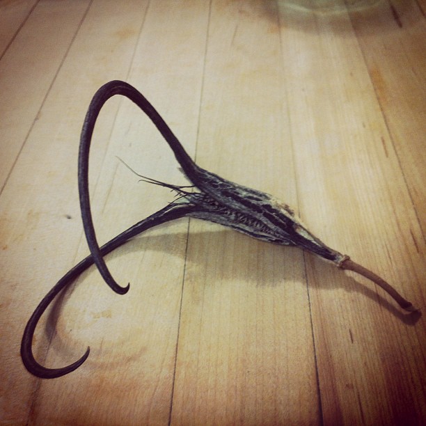 devil's claw