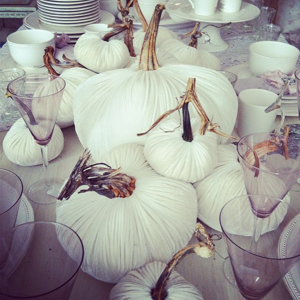 white pumpkins