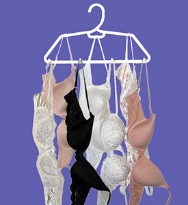 hook n dry hanger for bras