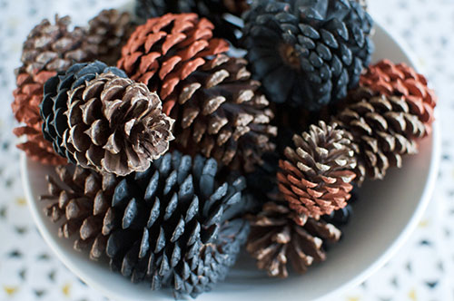 Dip-dyed pine cones