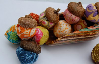 Acorn frenzy