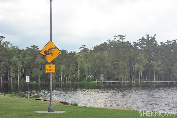 Alligator warning