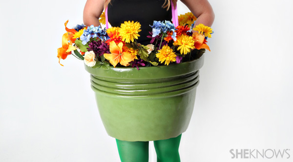 Flower pot: put on flower pot