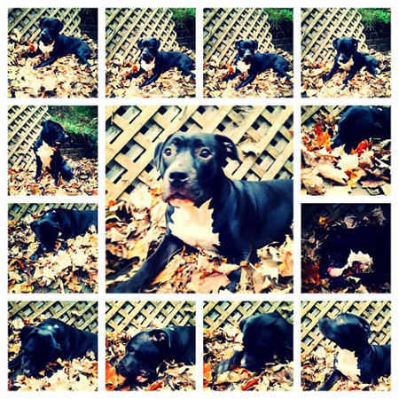 First fall