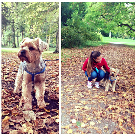 Autumn walk