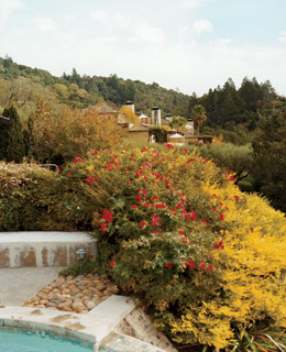 Napa Valley