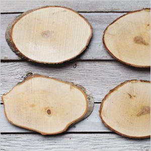 Sugar maple grill blanks