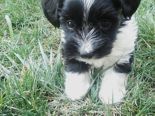 Lucy