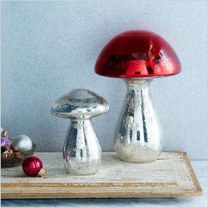 Mercury mushrooms