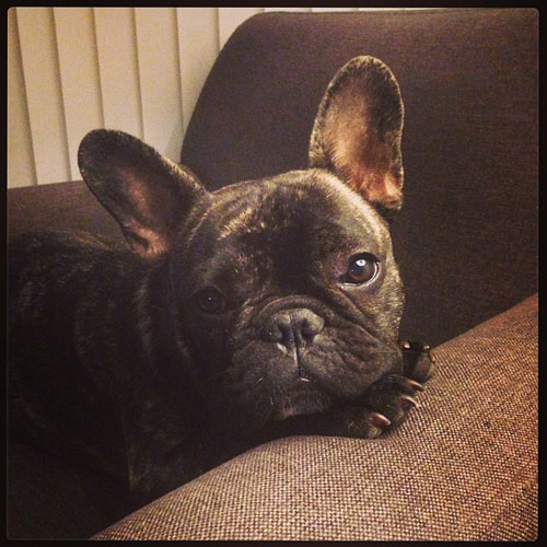 Esther