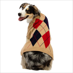 Argyle sweater