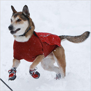 Snow boots