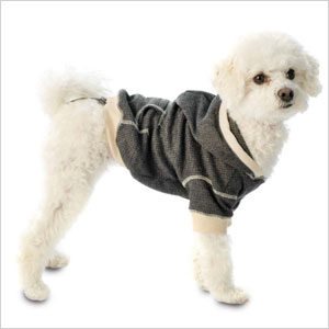Soft gray hoodie
