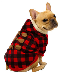 Seasonal sweater