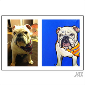 Pet portraits