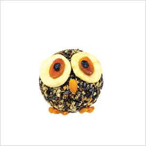 Owl bird feeder