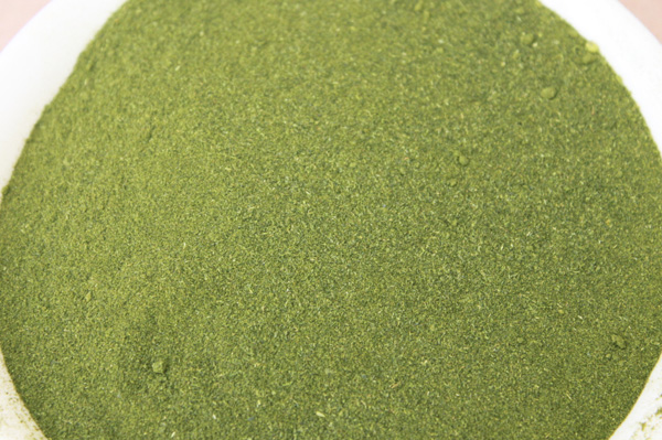 Chlorella