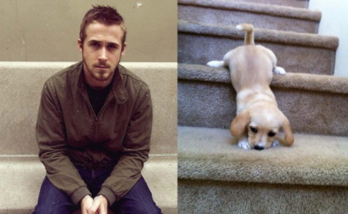Ryan Gosling