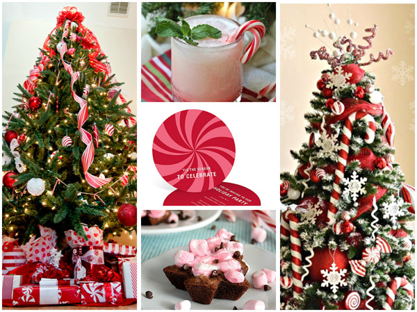Peppermint delight Christmas theme