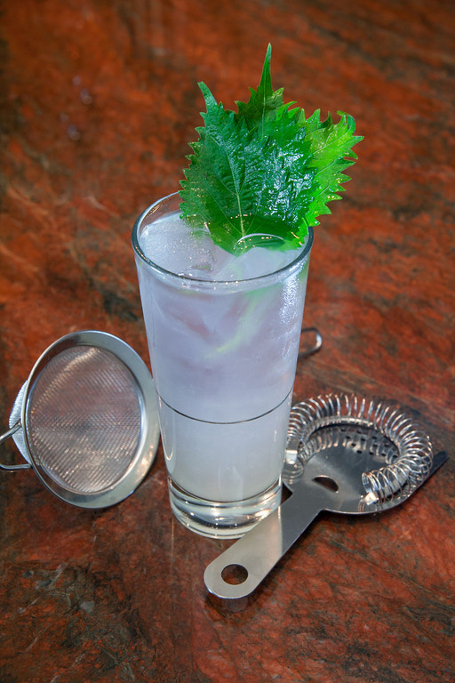 Shiso Sexy