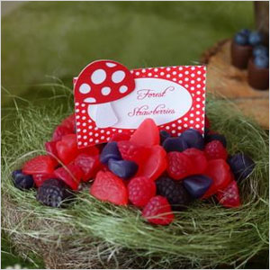 Forest berries snack | Sheknows.com
