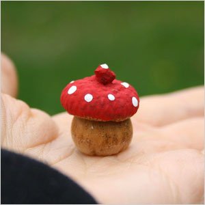 Acorn toadstools craft | Sheknows.com