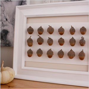 Framed acorn art craft | Sheknows.com