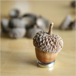 Acorn Magnet Acorn magnets craft | Sheknows.com