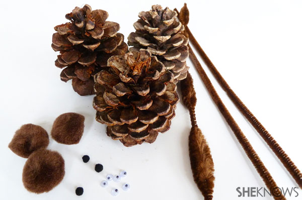 How to make a pine cone squirrel | Sheknows.com - Step one: supplies