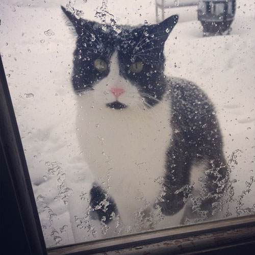 Stop taking pictures and come pick me up already
