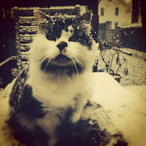 What is this fluffy cold stuff on my head?