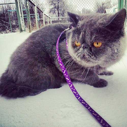 I hope you don't expect me to do my business out here!