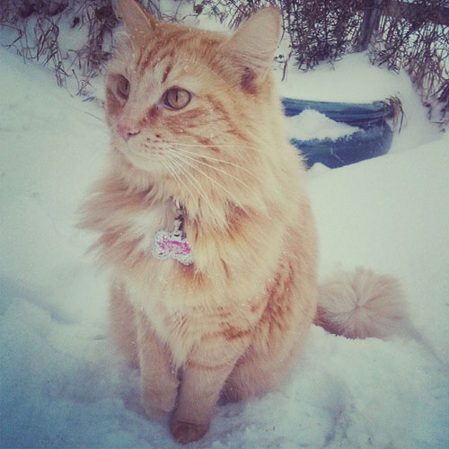 Let's be honest, I look gorgeous in any setting.