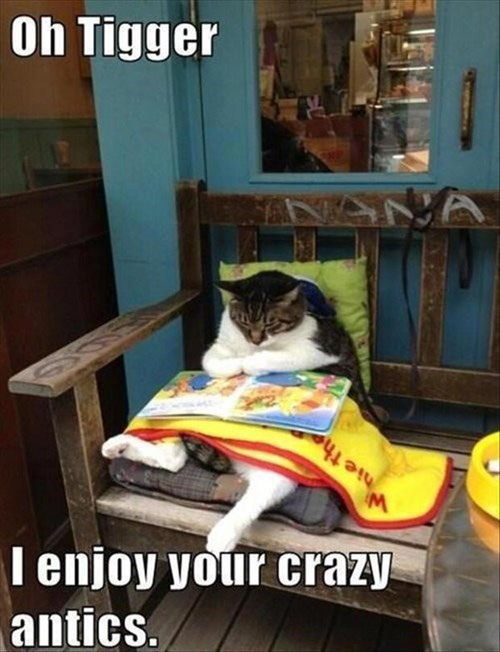 LOL Cats: Acting like a kid can keep you young