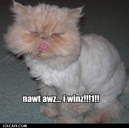 LOL Cats: Healthy competition never hurt anyone