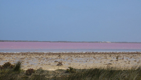 Pink Lake, Australia