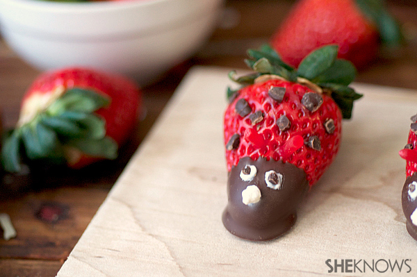 Chocolate strawberry bugs | Sheknows.com