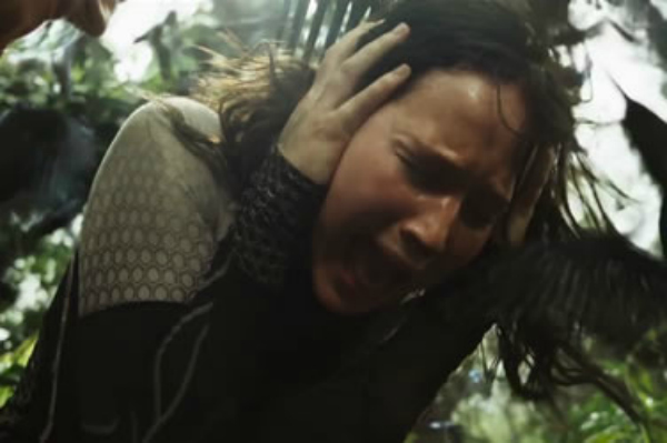 Hunger Games meltdown