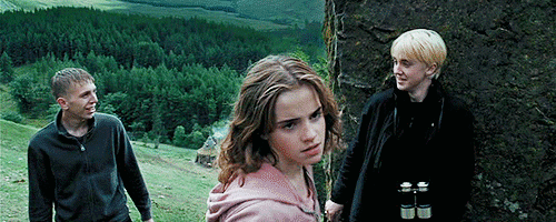 Hermione Granger, Harry Potter