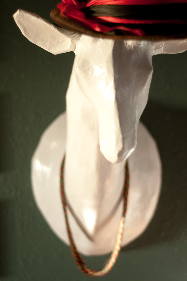 Taxidermy
