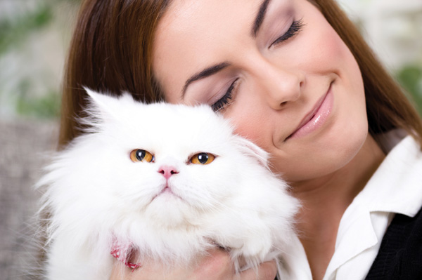 Cat love