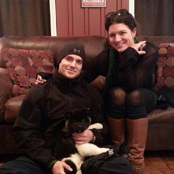 Henry Cavill and girlfriend Gina Carano buy a new Akita puppy