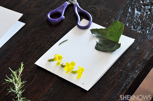 Greeting card with fresh flowers | Sheknows.com - card ready to flatten